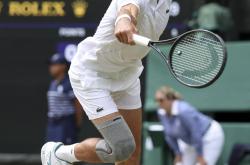 开云APP-戴维斯杯横扫温网，德约科维奇扛起全队