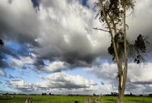 开云体育APP下载-智利完胜马德里竞技,梅西惊艳世界