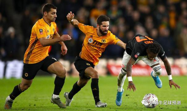 沃特福德主场逼平狼队,保住不败战绩 沃特福德主场逼平狼队,保住不败战绩