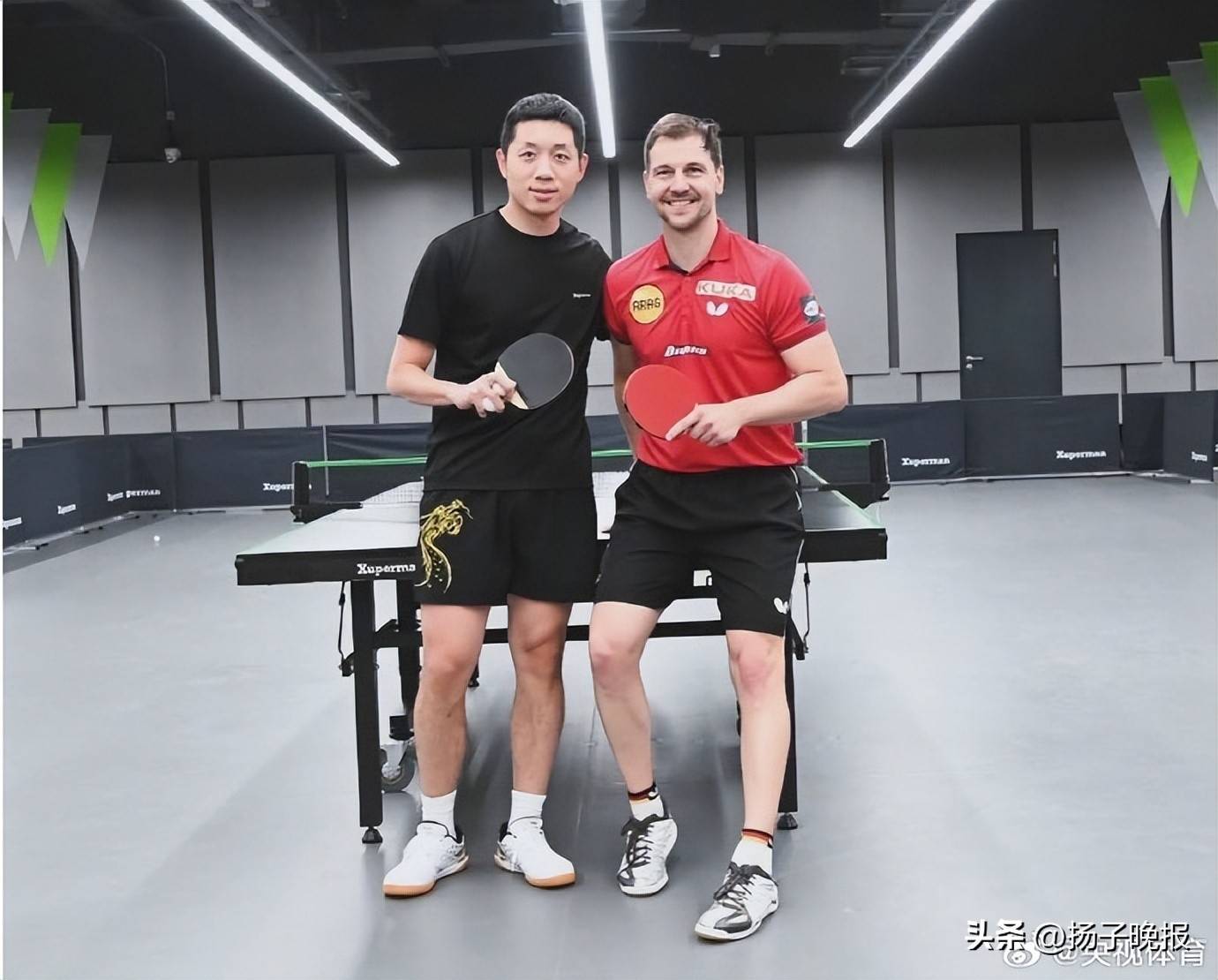 关于波兰乒乓球队横扫法国乒乓球队,波尔制霸全场的信息 关于波兰乒乓球队横扫法国乒乓球队,波尔制霸全场的信息